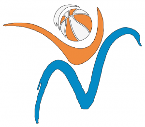 vivibasket
