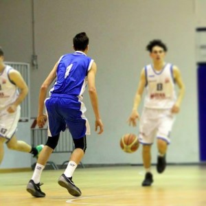 Zollo gioco