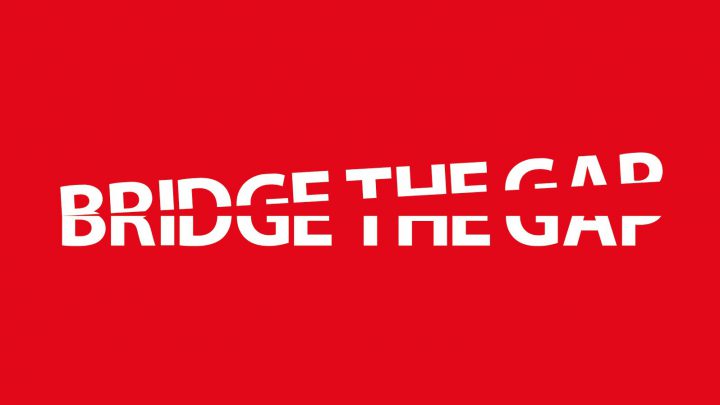 Vivi Basket con BRIDGE THE GAP